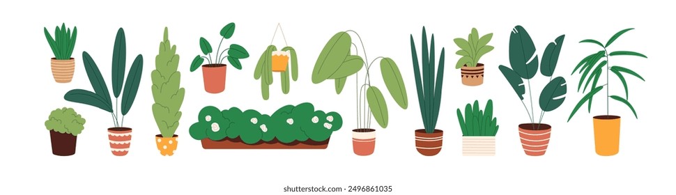 Different houseplants set. Home flower with green leaves. House plants with big and small foliage in flowerpots. Various floral interior decoration in pots. Flat isolated vector illustrations on white