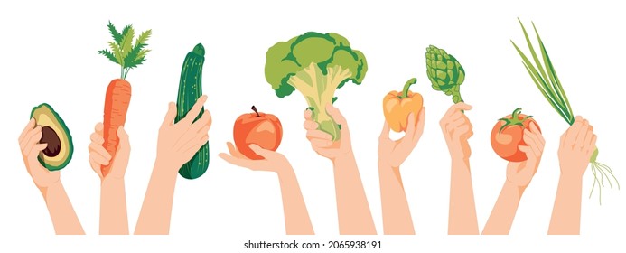 Different human hands holding fuits and vegetables Concept harvest agriculture vegetarian flat vector illustration