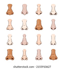 Different human noses cartoon illustration set. Male and female noses, parts of face on white background. Rhinoplasty, anatomy, surgery, breathing, medicine concept