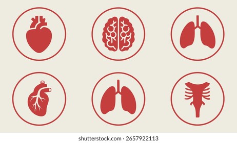 Different human organs Collection of human icons set for medical and health concepts