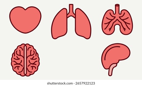 Different human organs Collection of human icons set for medical and health concepts