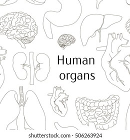 Different human organs set pattern