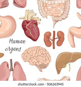 Different human organs set pattern