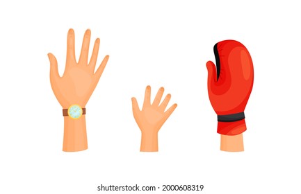 Different Human Right Hands with Palm Raised Up Vector Set