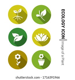 Different icons of plants. Ecology and natural image. Green and white circular icons.