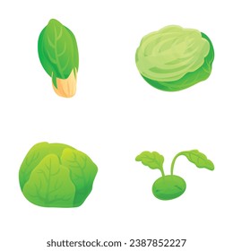 Different ?abbage icons set cartoon vector. Fresh chinese and white cabbage. Organic farm vegetable