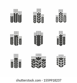 Different image options for spikelets
