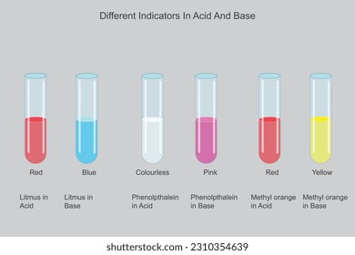 Different indicators litmus, phenolpthalein, methyl orange in acid and base solutions. chemical illustration.