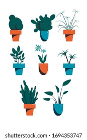 Plantas interiores diferentes. Conjunto de objetos aislados sobre un fondo blanco. Ilustración vectorial plana.
