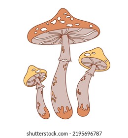 Different inedible mushrooms. Fly agaric. Vector illustration.