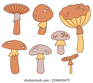 Different inedible mushrooms. Vector illustration.