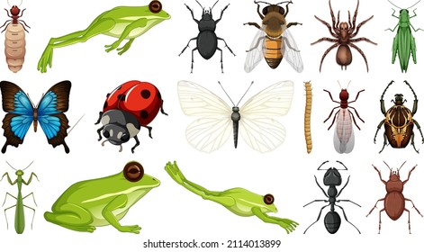 Different insects collection isolated on white background illustration