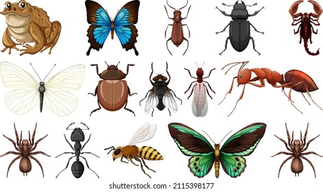 Different insects collection isolated on white background illustration