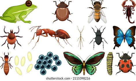 Different insects collection isolated on white background illustration