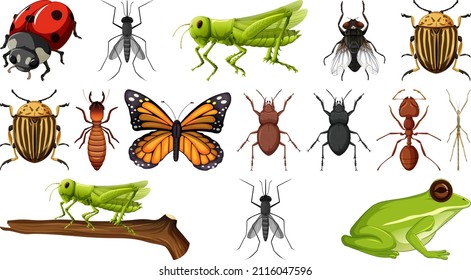 Different insects collection isolated on white background illustration