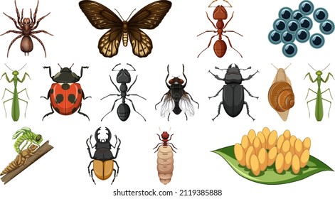 Different insects collection isolated on white background illustration