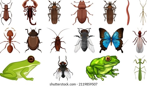 Different insects collection isolated on white background illustration