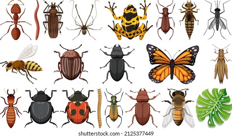 Different insects collection isolated on white background illustration