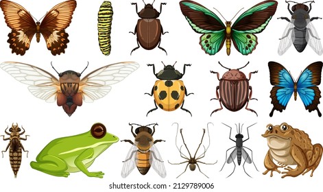 Different insects collection isolated on white background illustration