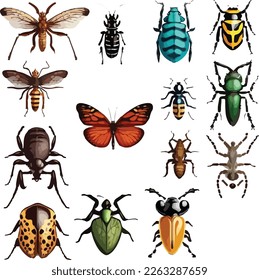 Different insects collection isolated on white background vector