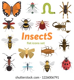 Different insects color vector icons set. Flat design