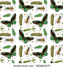 Different insects seamless pattern white background illustration