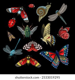 Different insects such as butterly, bugs, dragonly, snail etc. Vector