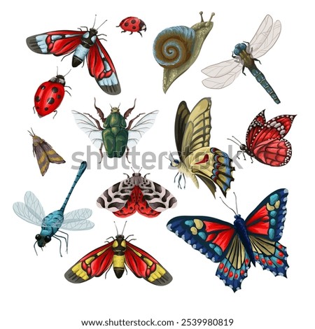 Different insects such as butterly, bugs, dragonly, snail etc. Vector