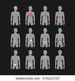 Los diferentes órganos internos situados en el cuerpo humano. Esquema de la ubicación de los órganos