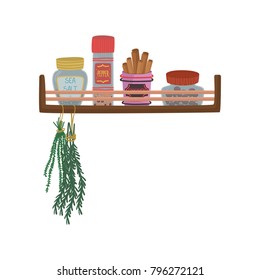 Different jars with herbs and spices, bunch of rosemary on wooden shelf cartoon vector Illustration