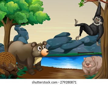 Different kind of animals by the river bank
