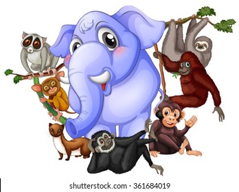 Different kind of animals illustration