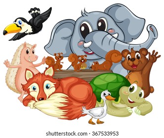 Different kind of animals illustration