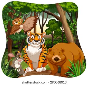 Different kind of animals in the jungle