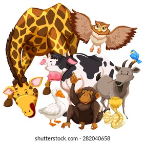 Different kind of animals living together