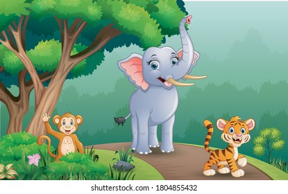 A different kind animals walking along the forest