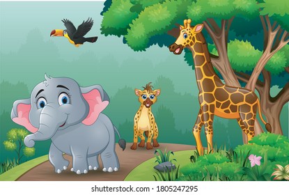 A different kind animals walking along the forest