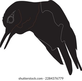 Different kind of Birds vector icons. Flat style vector illustration 