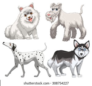 Different kind of canine illustration