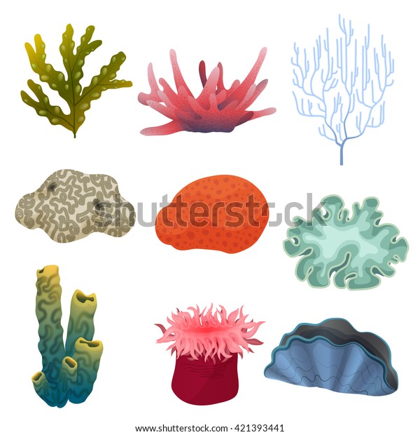 Different Kind Cartoon Underwater Ocean Plants Stock Vector (Royalty ...