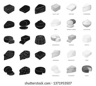 Different kind of cheese black.mono icons in set collection for design.Milk product cheese vector symbol stock web illustration.