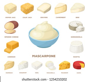 Different kind of cheese cartoon icons in set collection for design.Milk product cheese vector symbol stock web illustration.