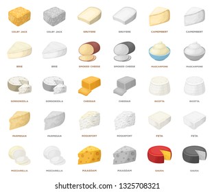 Different kind of cheese cartoon,monochrom icons in set collection for design.Milk product cheese vector symbol stock web illustration.