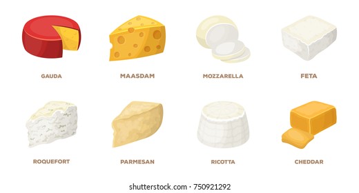 Different kind of cheese icons in set collection for design.Milk product vector symbol stock  illustration.