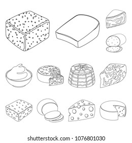 Different kind of cheese outline icons in set collection for design.Milk product cheese vector symbol stock web illustration.