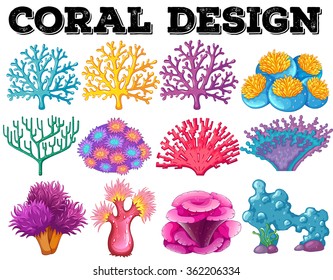Different kind of coral design illustration