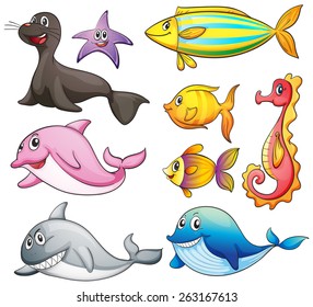 Different kind of cute sea animals