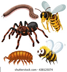 Different kind of dangerous insects illustration