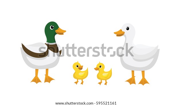 Different Kind Ducks Stock Vector (Royalty Free) 595521161 | Shutterstock