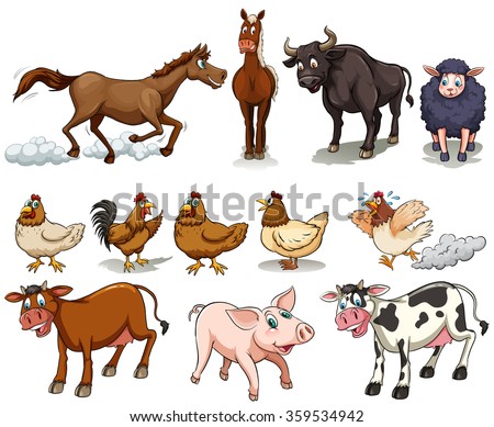 Similar – Image, Stock Photo A kind of rooster Rooster